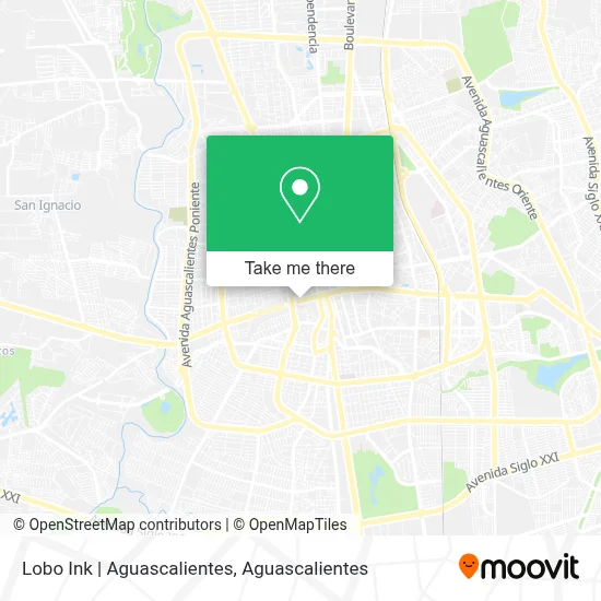 Lobo Ink | Aguascalientes map