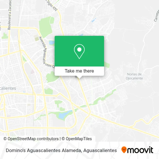 Domino's Aguascalientes Alameda map