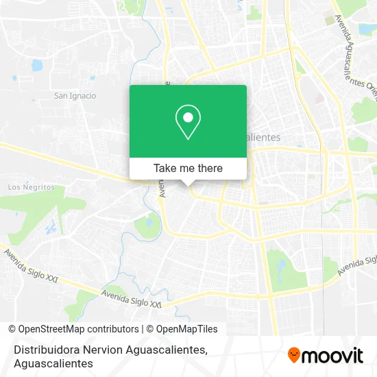 Distribuidora Nervion Aguascalientes map