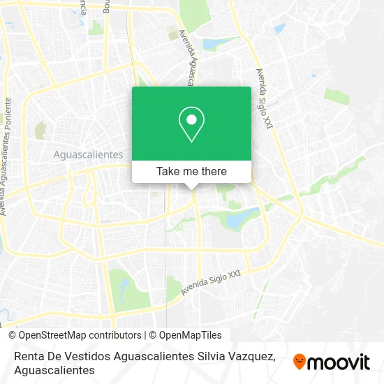 Renta De Vestidos Aguascalientes Silvia Vazquez map