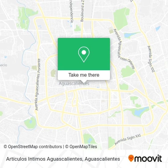 Artículos Intimos Aguascalientes map