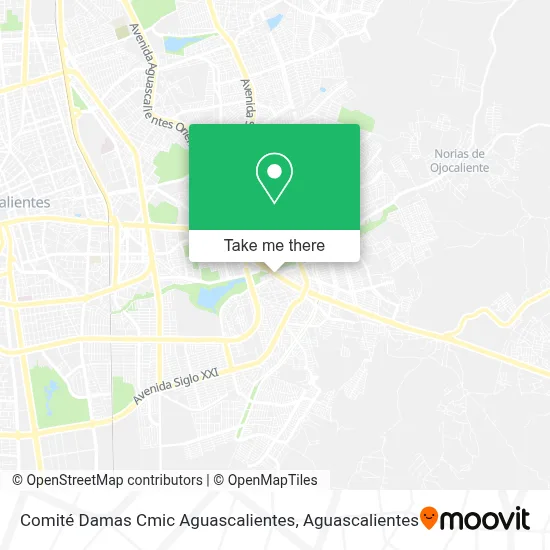Comité Damas Cmic Aguascalientes map
