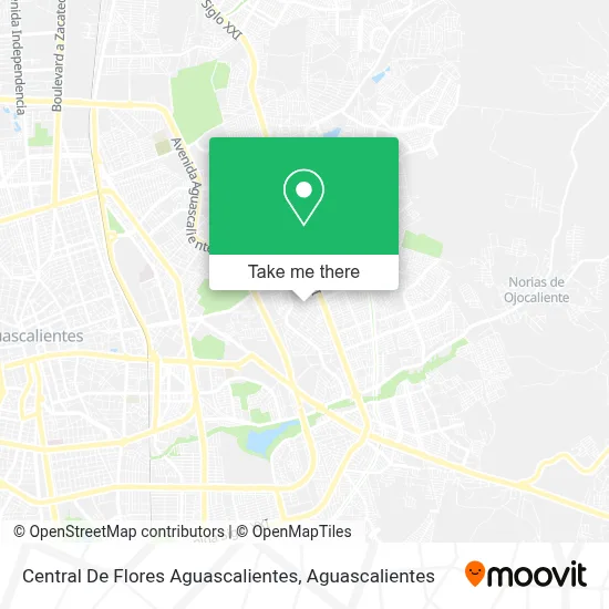 Central De Flores Aguascalientes map