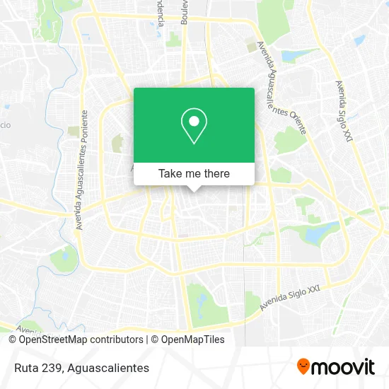 Ruta 239 map