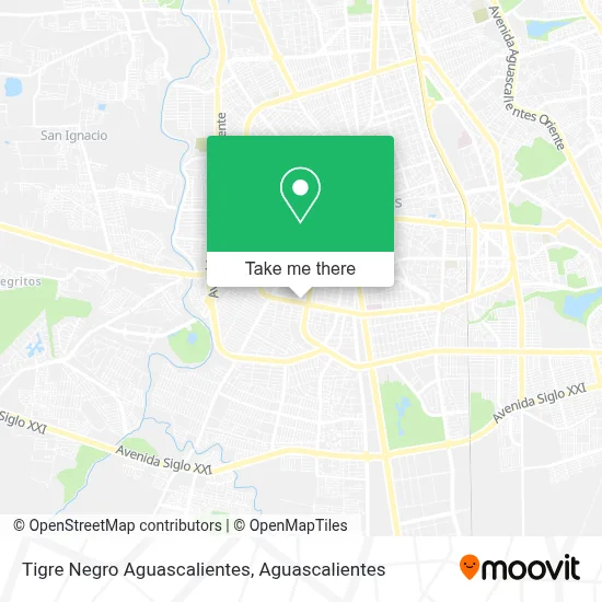 Tigre Negro Aguascalientes map