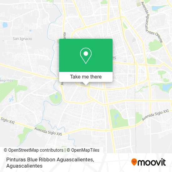 Pinturas Blue Ribbon Aguascalientes map