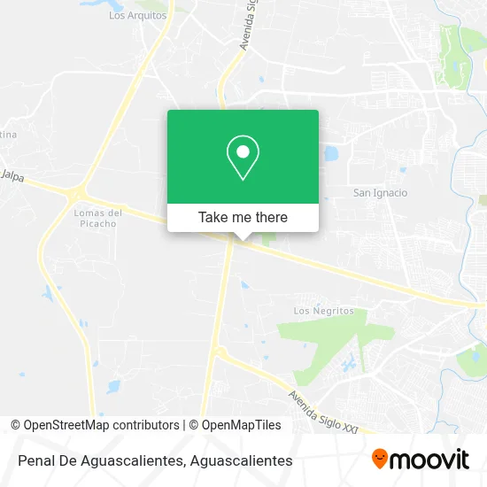 Penal De Aguascalientes map