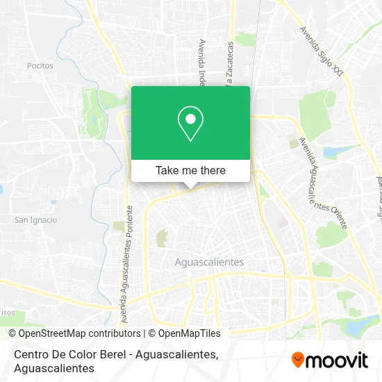 Centro De Color Berel - Aguascalientes map