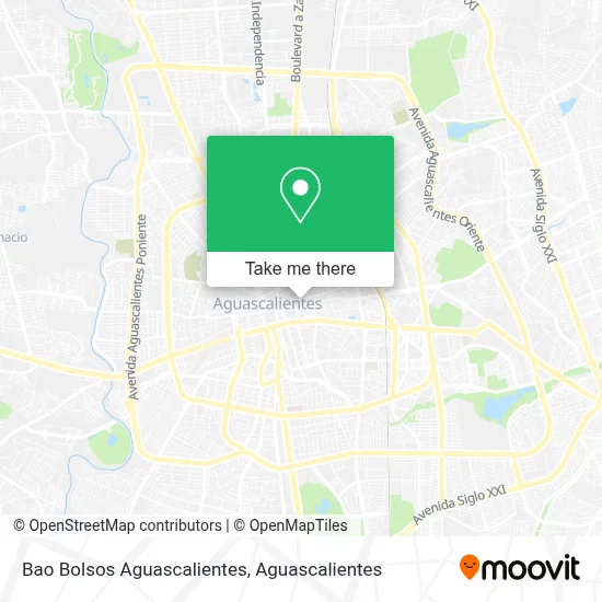 Bao Bolsos Aguascalientes map