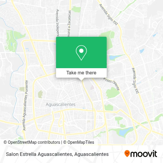 Salon Estrella Aguascalientes map