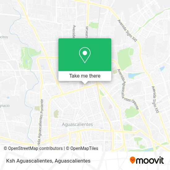 Ksh Aguascalientes map
