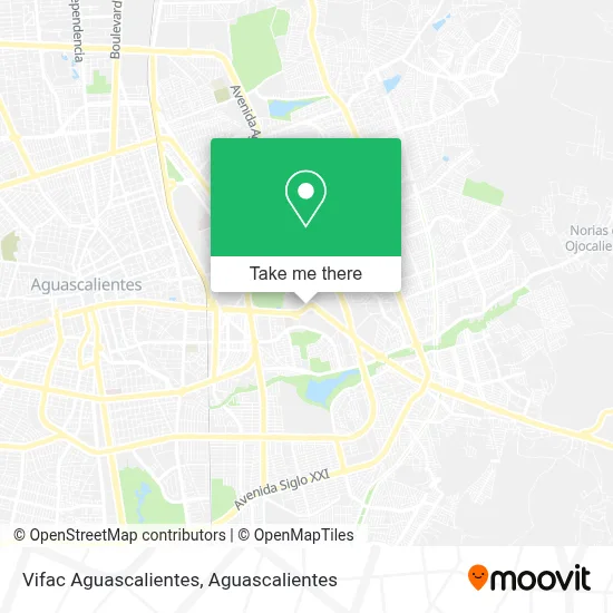 Vifac Aguascalientes map