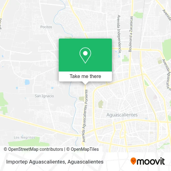 Importep Aguascalientes map