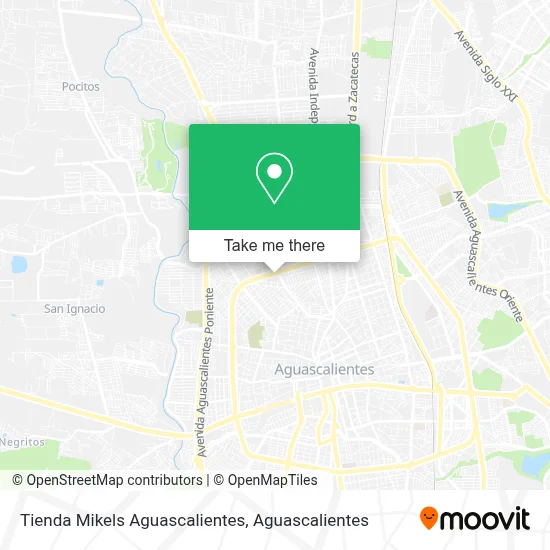 Tienda Mikels Aguascalientes map