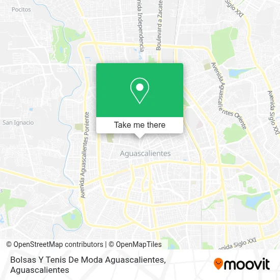 Bolsas Y Tenis De Moda Aguascalientes map