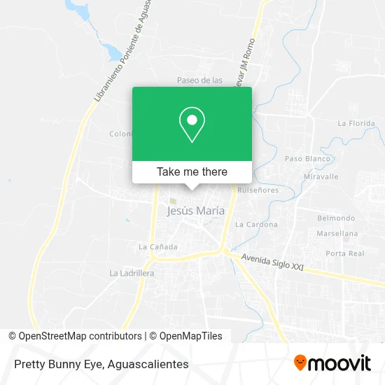 Pretty Bunny Eye map