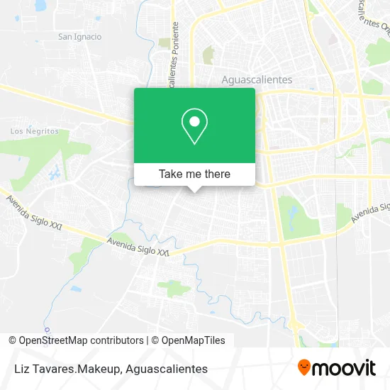 Liz Tavares.Makeup map