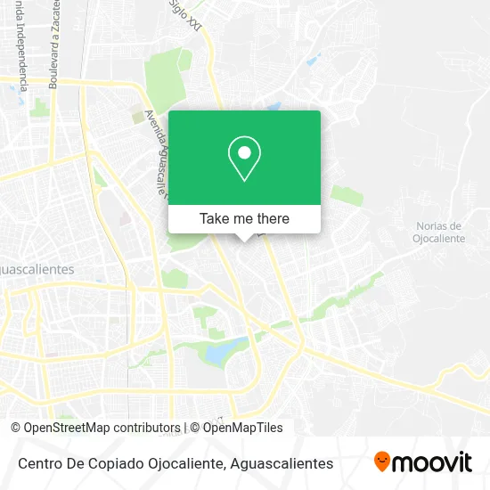Centro De Copiado Ojocaliente map
