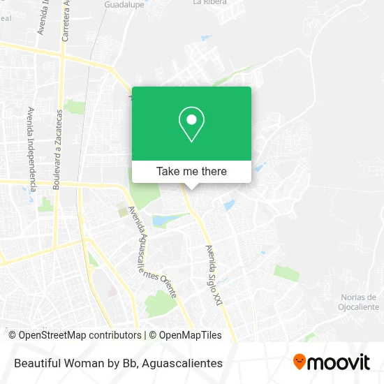 Beautiful Woman by Bb map