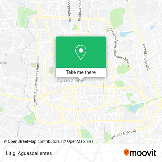 Litig map