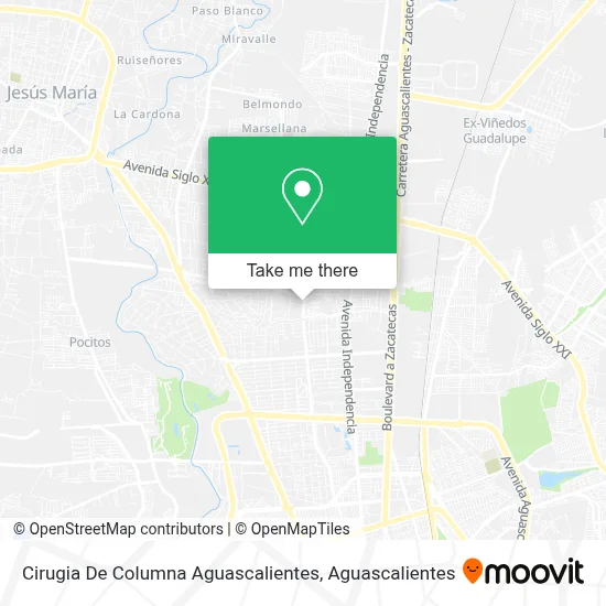 Cirugia De Columna Aguascalientes map