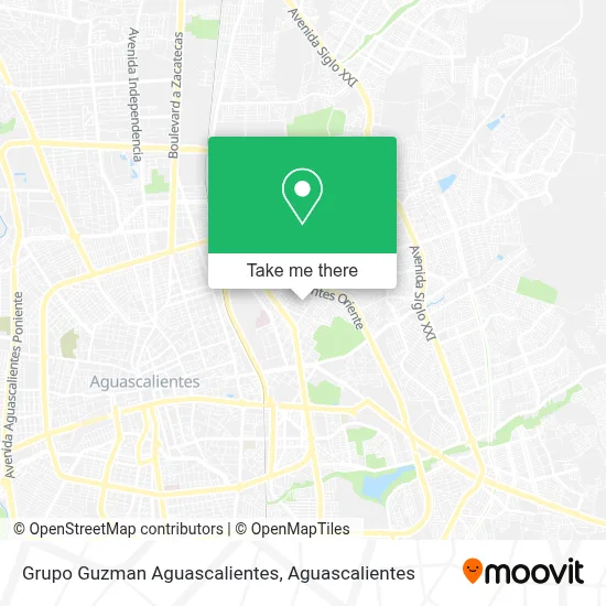 Grupo Guzman Aguascalientes map