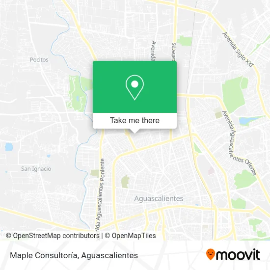 Maple Consultoría map