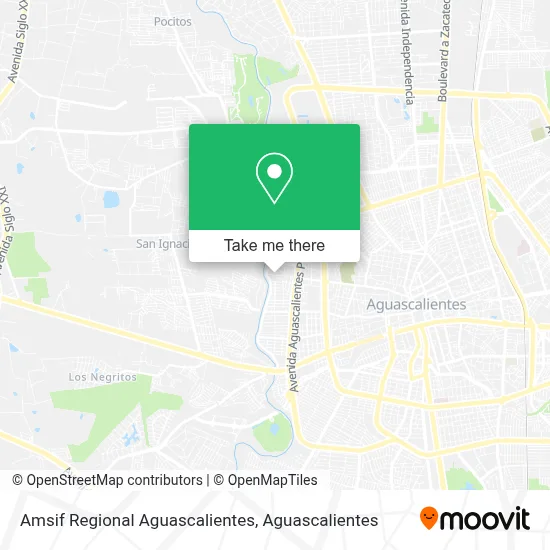 Amsif Regional Aguascalientes map