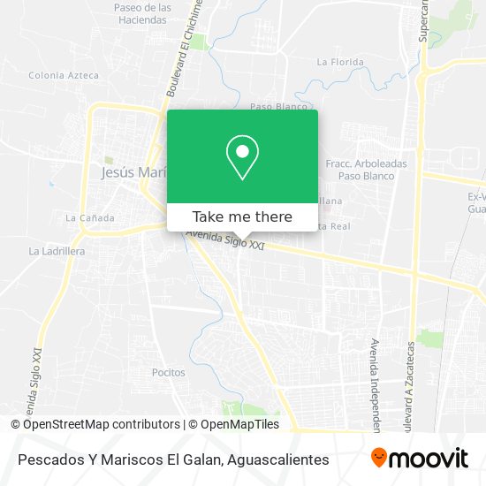 How to get to Pescados Y Mariscos El Galan in Aguascalientes by Bus?
