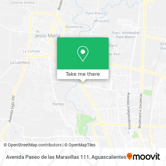 Mapa de Avenida Paseo de las Maravillas 111