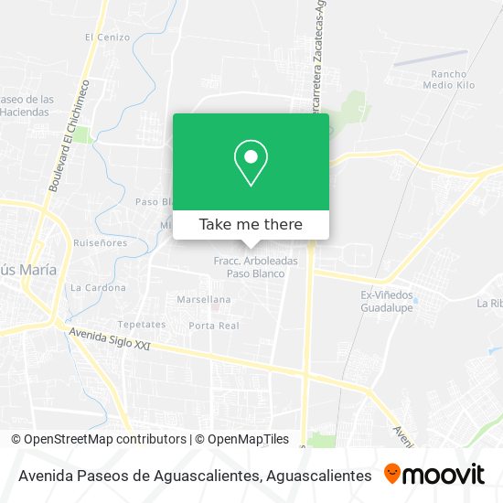 Avenida Paseos de Aguascalientes map