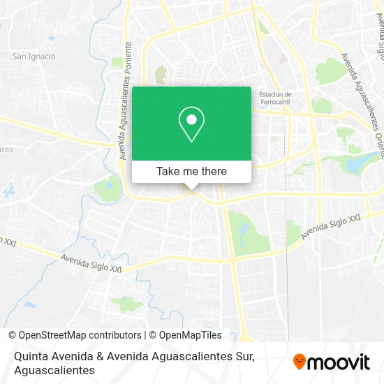 Quinta Avenida & Avenida Aguascalientes Sur map