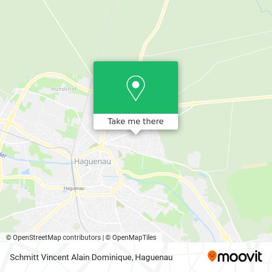 Schmitt Vincent Alain Dominique map