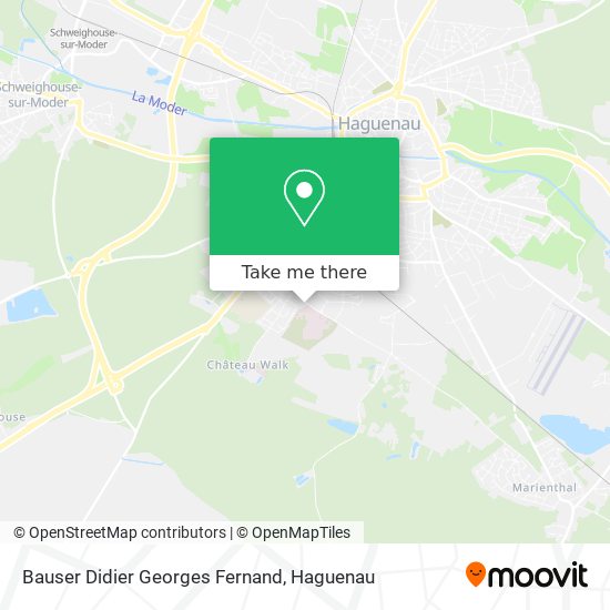 Bauser Didier Georges Fernand map