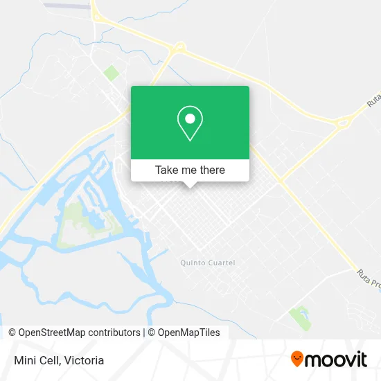 Mini Cell map