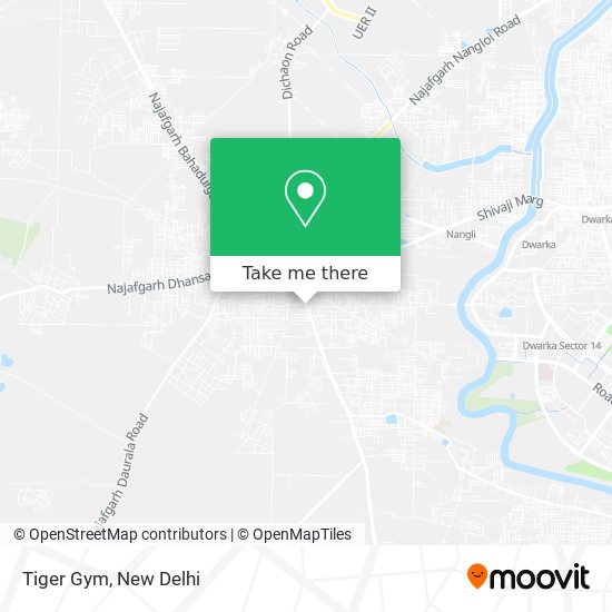 Tiger Gym map