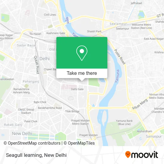 Seagull learning map