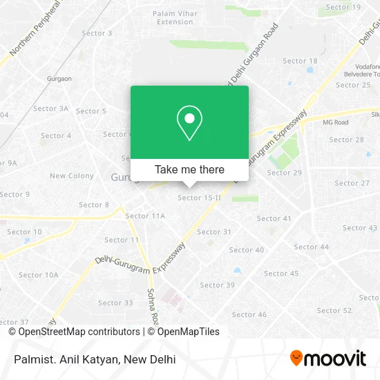Palmist. Anil Katyan map