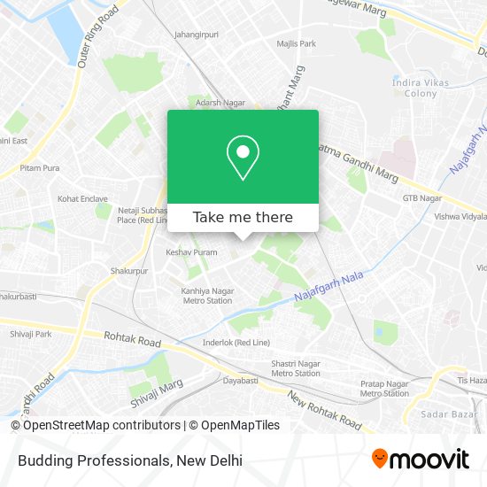 Budding Professionals map