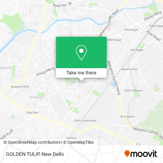 GOLDEN TULIP map