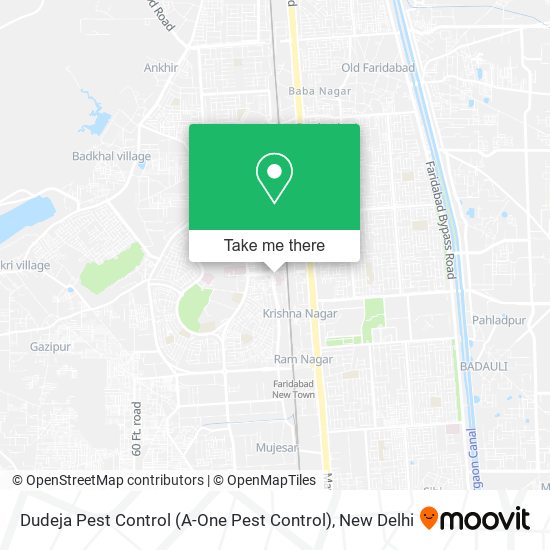 Dudeja Pest Control (A-One Pest Control) map