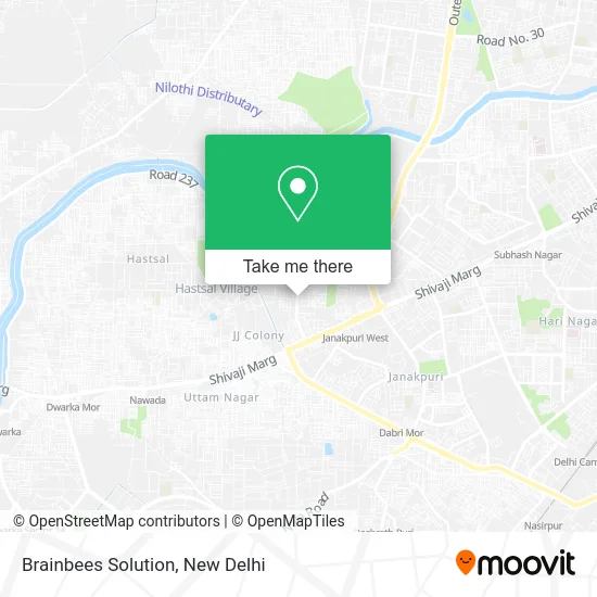 Brainbees Solution map