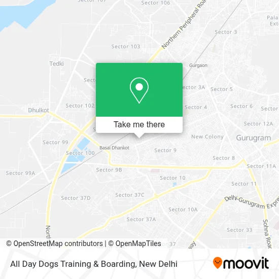 All Day Dogs Training & Boarding map