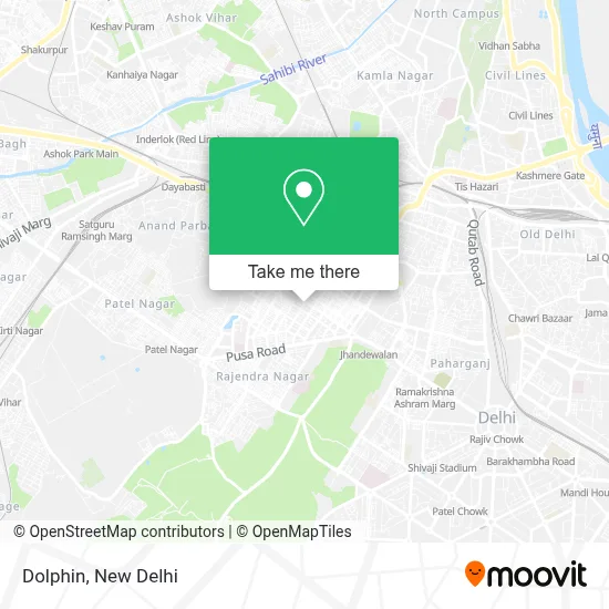 Dolphin map