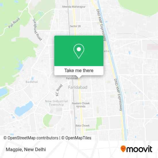 Magpie map