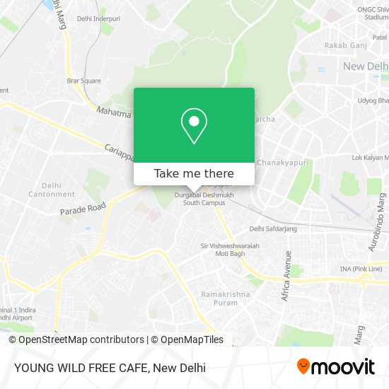 YOUNG WILD FREE CAFE map