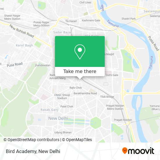 Bird Academy map