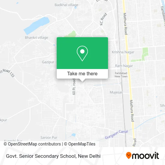 Govt. Senior Secondary School map