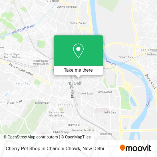 Cherry Pet Shop in Chandni Chowk map