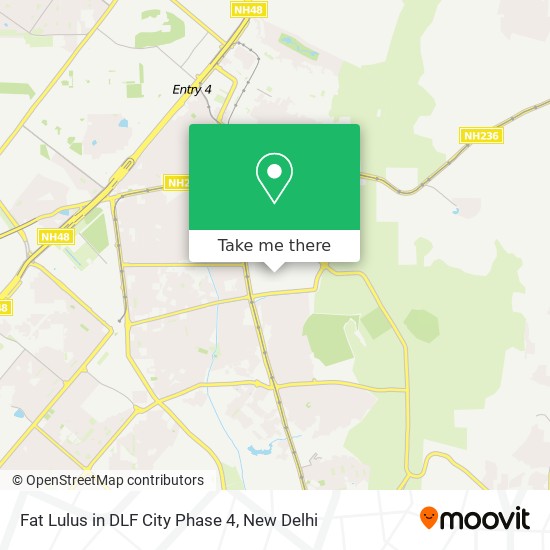 Fat Lulus in DLF City Phase 4 map